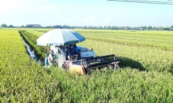 Huyện Thanh Oai gửi thư cảm ơn các đơn vị hỗ trợ tiêu thụ nông sản