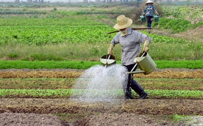 Dù dịch bệnh khó khăn, huyện Thường Tín vẫn đạt được nhiều chỉ tiêu về phát triển kinh tế - xã hội