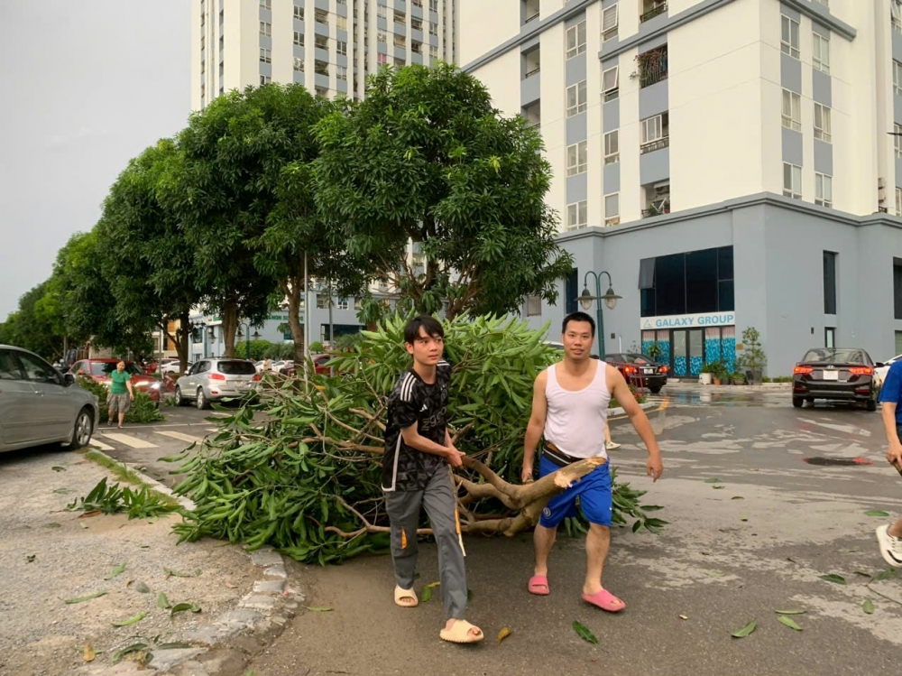 Bão Yagi lệch hướng Nam, có thể đi thẳng vào Hà Nội