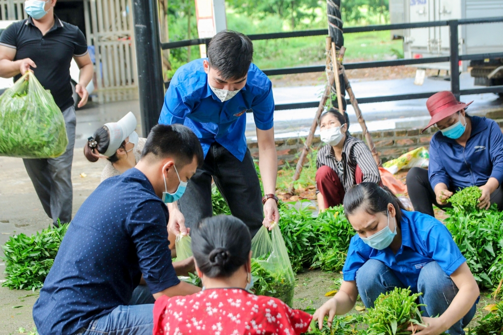 Chuyện bây giờ mới kể về hàng tấn rau từ Mê Linh tặng nội thành