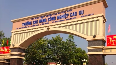 Để mất hơn 10.000ha đất, Tập đoàn Công nghiệp Cao su Việt Nam nói gì?