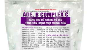 Sản phẩm ADE.B Complex C của Công ty Vietvet bị phạt do lỗi bảo quản của đại lý