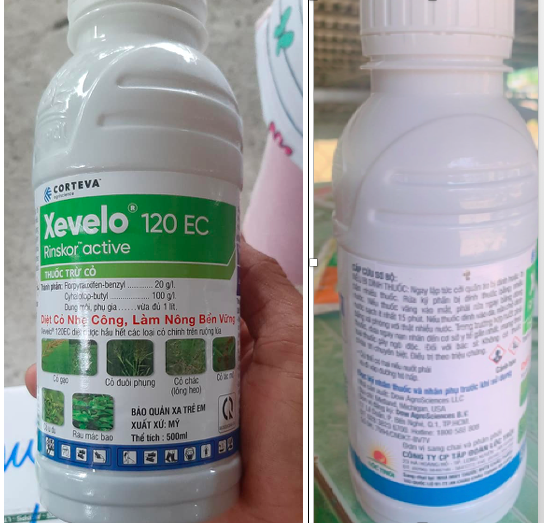 Tập đoàn Lộc Trời phản hồi về sản phẩm Xevelo 120 EC gây lúa bị cháy tại Kiên Giang