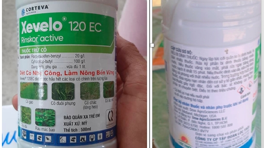 Tập đoàn Lộc Trời phản hồi về sản phẩm Xevelo 120 EC gây lúa bị cháy tại Kiên Giang