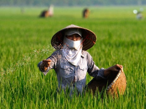 Tây Ninh: Thu hồi, tiêu huỷ hàng loạt sản phẩm phân bón giả, kém chất lượng