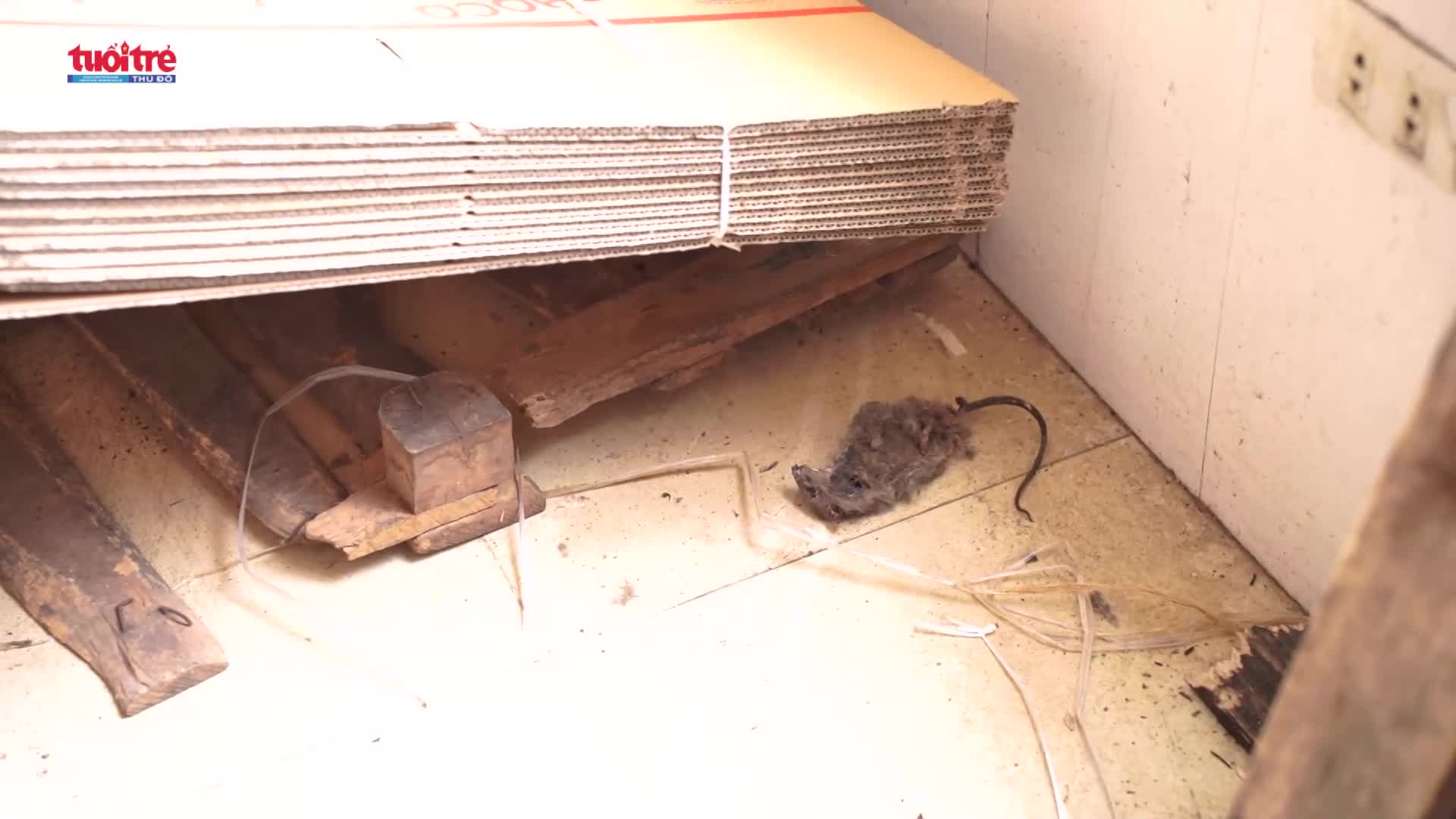 Cận cảnh xưởng sản xuất "bim bim bẩn" tại La Phù