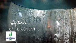 Hành Trình Khám Phá Di Sản Việt