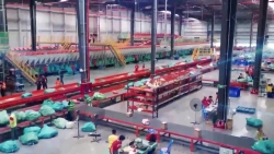 Phát triển nguồn nhân lực Thương mại điện tử ở Việt Nam