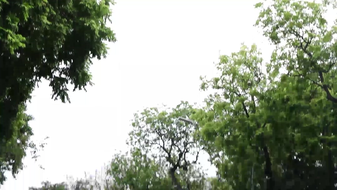 Sức hút mùa thu Hà Nội