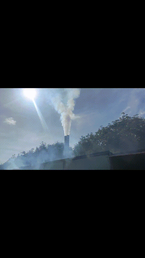 Video nhap 20251119113059