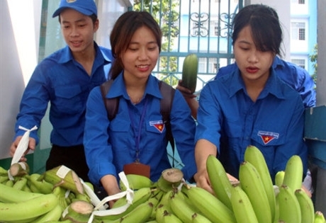 Sinh viên Sài Gòn bán chuối cứu nông dân Đồng Nai