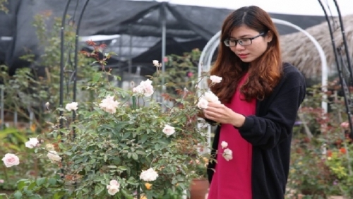 Cô gái trẻ sở hữu khu vườn 5.000m2 với hàng nghìn hoa hồng quý hiếm