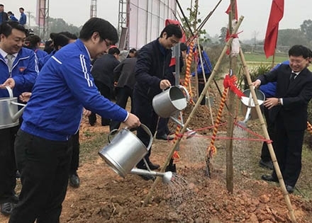 Hàng ngàn người Hà Nội ra quân trồng cây đầu năm mới