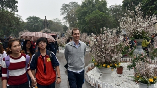 Du khách thích thú ngắm hoa anh đào giữa Hà Nội