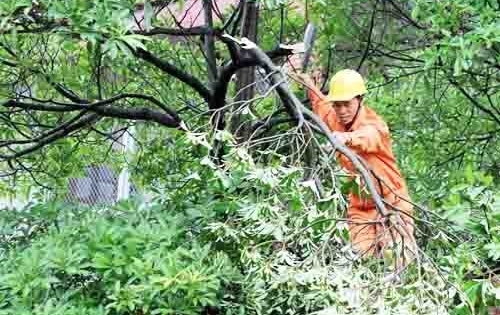 Hà Nội: Đảm bảo an toàn lưới điện trong mùa mưa bão