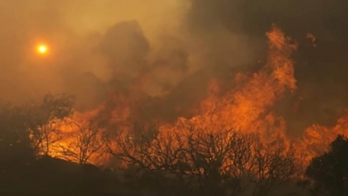 Ít nhất 10 người chết do cháy rừng ở Bắc California