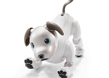 Sony tái sinh robot cún cưng